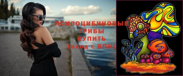спиды Новокубанск