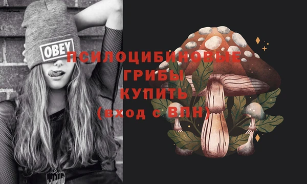амфетамин Новодвинск