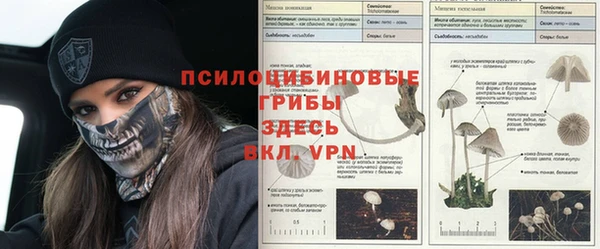 амфетамин Новодвинск