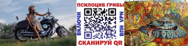 Галлюциногенные грибы мицелий  Киреевск 