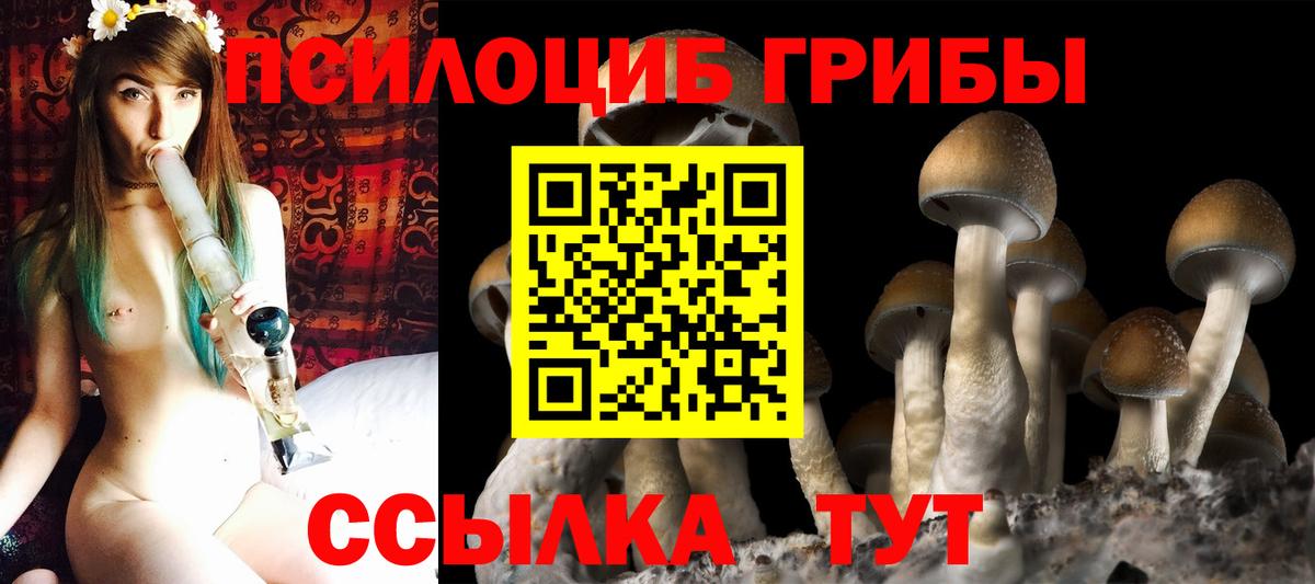 Псилоцибиновые грибы мицелий  Киреевск 